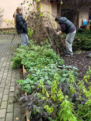 photo_2025-11-18_11-52-16