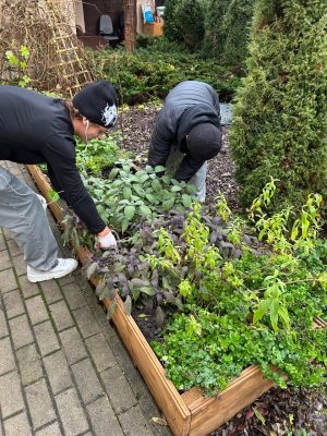 photo_2025-11-18_11-52-20