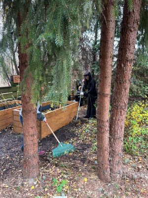 photo_2025-11-18_11-52-36