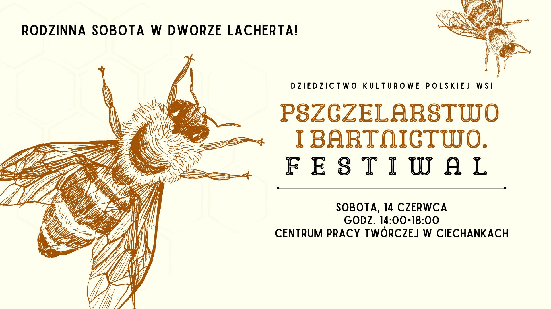 Festiwal
